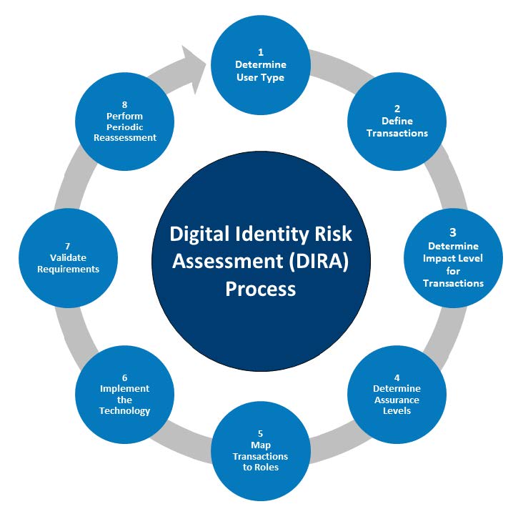 Figure 9:  The DIRA Process from Data Collection to Ongoing Assessment